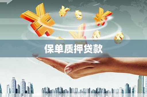 大丰保单质押贷款