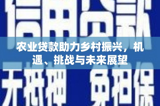 大丰农业贷款助力乡村振兴，机遇、挑战与未来展望