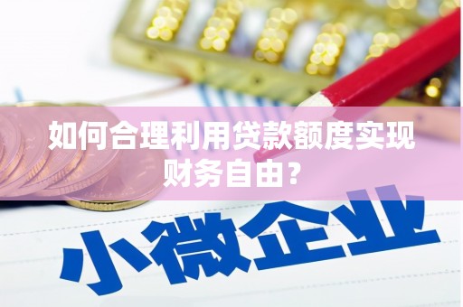 大丰如何合理利用贷款额度实现财务自由？