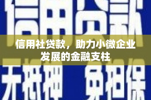 大丰信用社贷款，助力小微企业发展的金融支柱