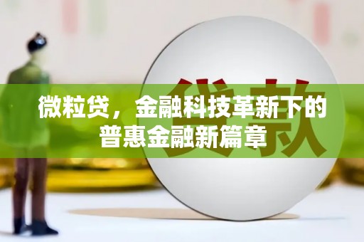 大丰微粒贷，金融科技革新下的普惠金融新篇章