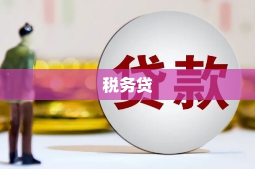 大丰税务贷