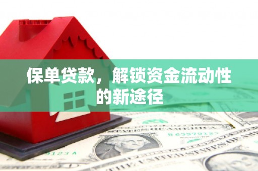 大丰保单贷款，解锁资金流动性的新途径