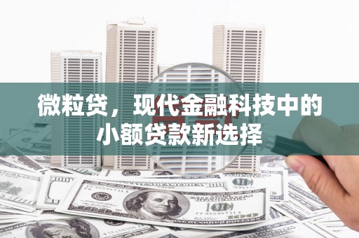 大丰微粒贷，现代金融科技中的小额贷款新选择