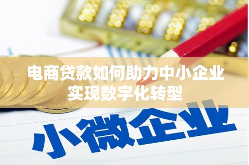 大丰电商贷款如何助力中小企业实现数字化转型