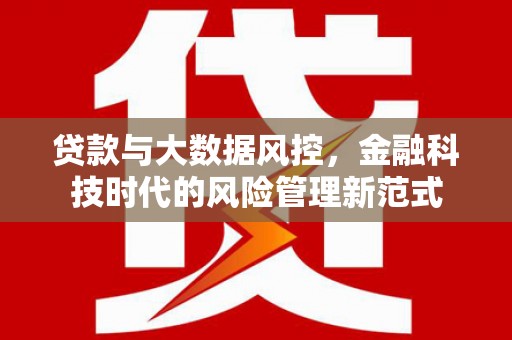 大丰贷款与大数据风控，金融科技时代的风险管理新范式