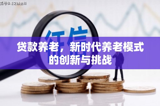 大丰贷款养老，新时代养老模式的创新与挑战
