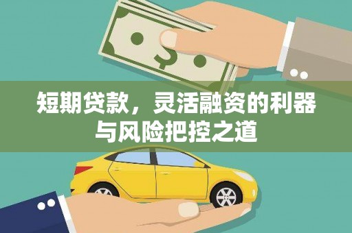 大丰短期贷款，灵活融资的利器与风险把控之道