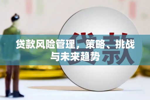 大丰贷款风险管理，策略、挑战与未来趋势