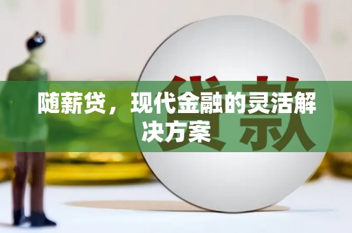 大丰随薪贷，现代金融的灵活解决方案