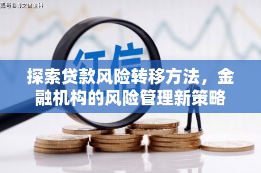 大丰探索贷款风险转移方法，金融机构的风险管理新策略
