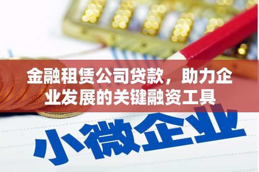 大丰金融租赁公司贷款，助力企业发展的关键融资工具
