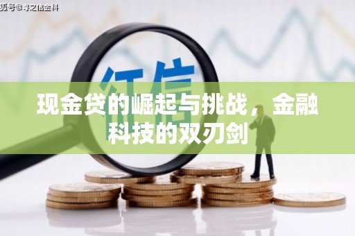 大丰现金贷的崛起与挑战，金融科技的双刃剑