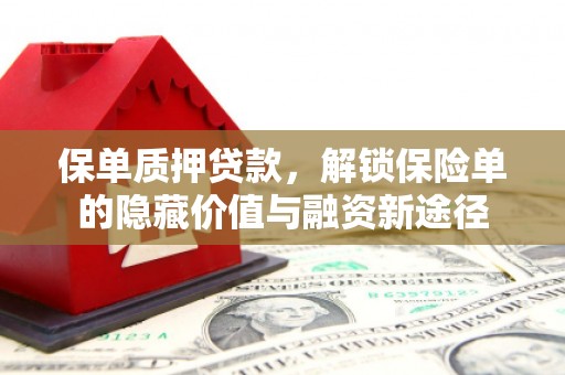 大丰保单质押贷款，解锁保险单的隐藏价值与融资新途径