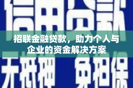大丰招联金融贷款，助力个人与企业的资金解决方案