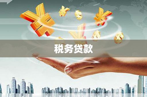 大丰税务贷款