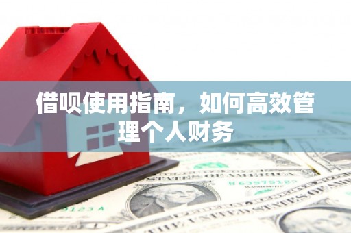 大丰借呗使用指南，如何高效管理个人财务