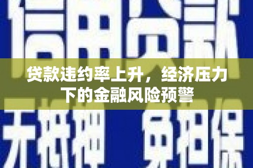 大丰贷款违约率上升，经济压力下的金融风险预警