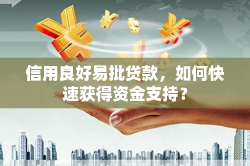 大丰信用良好易批贷款，如何快速获得资金支持？