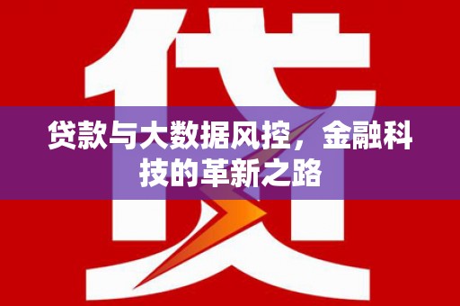 大丰贷款与大数据风控，金融科技的革新之路