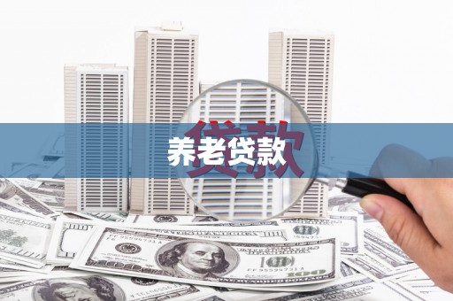 大丰养老贷款