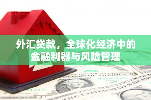 大丰外汇贷款，全球化经济中的金融利器与风险管理