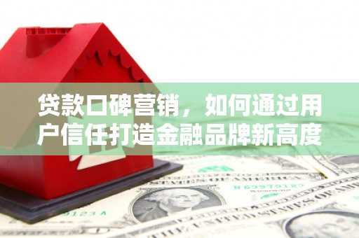 大丰贷款口碑营销，如何通过用户信任打造金融品牌新高度