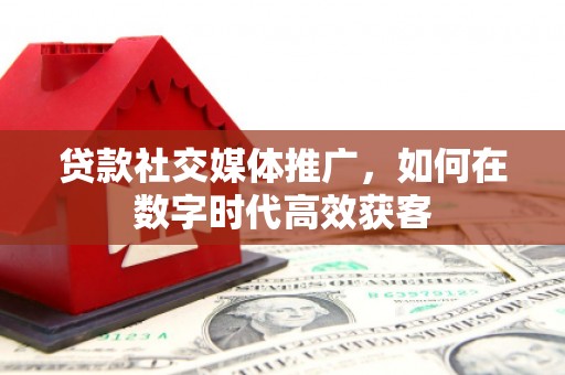 大丰贷款社交媒体推广，如何在数字时代高效获客