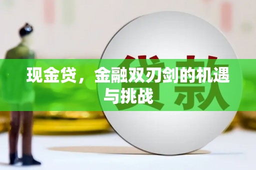 大丰现金贷，金融双刃剑的机遇与挑战