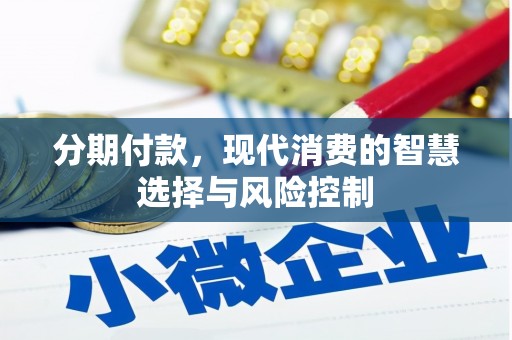 大丰分期付款，现代消费的智慧选择与风险控制