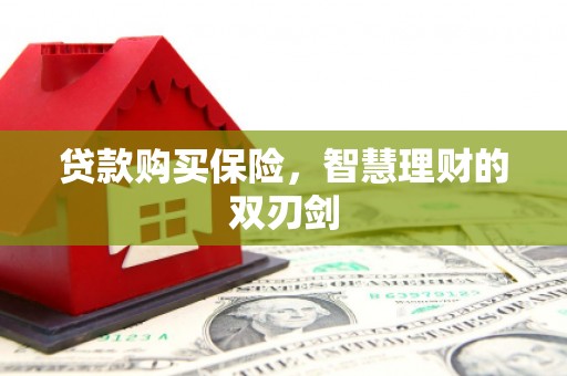 大丰贷款购买保险，智慧理财的双刃剑