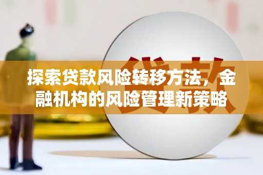 大丰探索贷款风险转移方法，金融机构的风险管理新策略