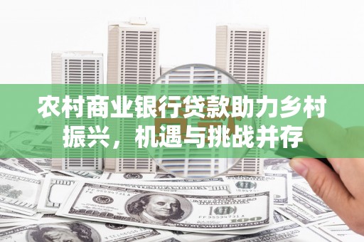 大丰农村商业银行贷款助力乡村振兴，机遇与挑战并存