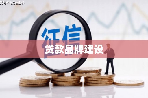 大丰贷款品牌建设