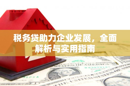 大丰税务贷助力企业发展，全面解析与实用指南