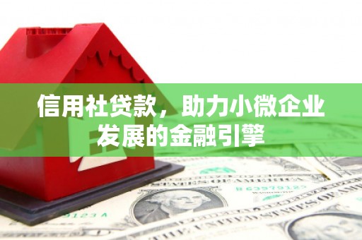 大丰信用社贷款，助力小微企业发展的金融引擎
