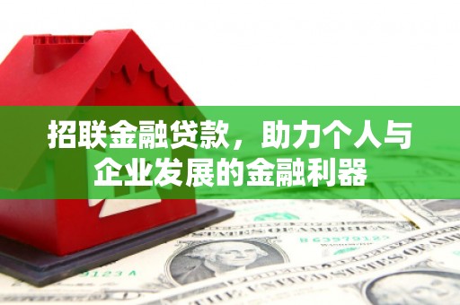 大丰招联金融贷款，助力个人与企业发展的金融利器
