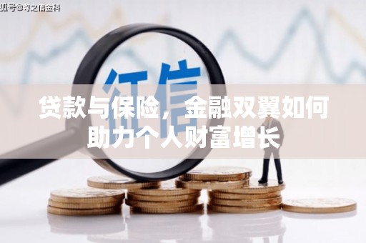 大丰贷款与保险，金融双翼如何助力个人财富增长