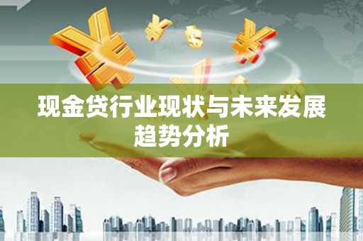 大丰现金贷行业现状与未来发展趋势分析