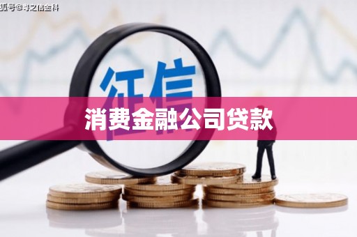 大丰消费金融公司贷款