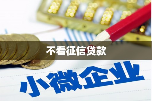 大丰不看征信贷款