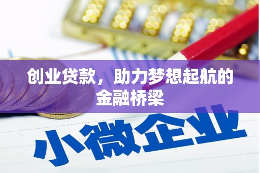 大丰创业贷款，助力梦想起航的金融桥梁