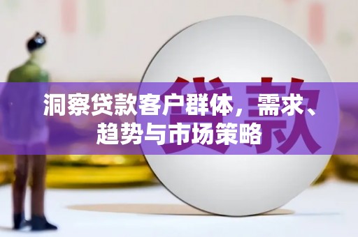 大丰洞察贷款客户群体，需求、趋势与市场策略