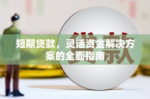 大丰短期贷款，灵活资金解决方案的全面指南