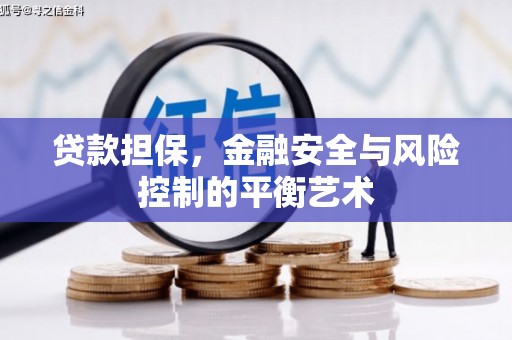 大丰贷款担保，金融安全与风险控制的平衡艺术