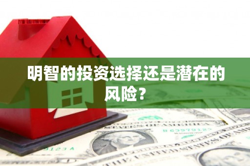 大丰明智的投资选择还是潜在的风险？