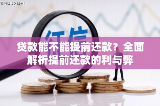 大丰贷款能不能提前还款？全面解析提前还款的利与弊