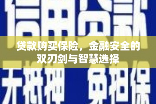 大丰贷款购买保险，金融安全的双刃剑与智慧选择
