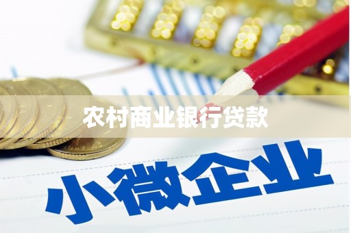大丰农村商业银行贷款