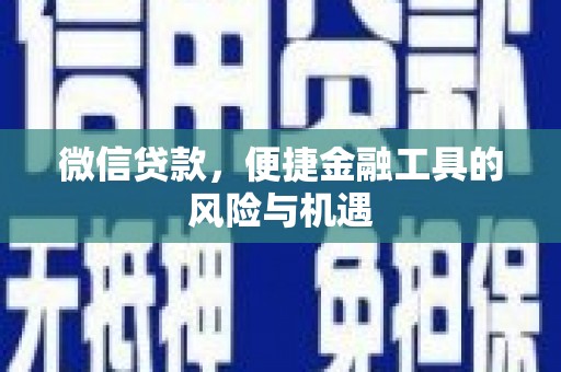 大丰微信贷款，便捷金融工具的风险与机遇